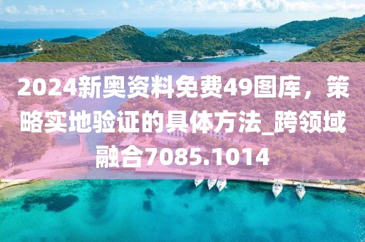 2024新奧資料免費(fèi)49圖庫，策略實(shí)地驗(yàn)證的具體方法_跨領(lǐng)域融合7085.1014