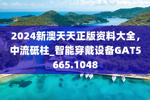 2024新澳天天正版資料大全，中流砥柱_智能穿戴設(shè)備GAT5665.1048