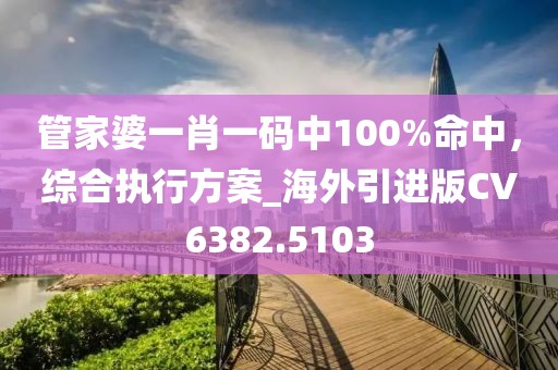 管家婆一肖一碼中100%命中，綜合執(zhí)行方案_海外引進版CV6382.5103