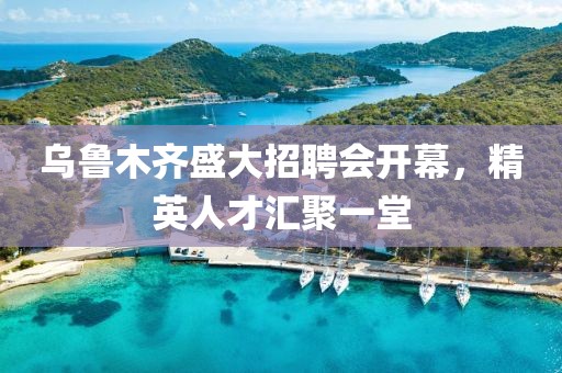 烏魯木齊盛大招聘會開幕，精英人才匯聚一堂