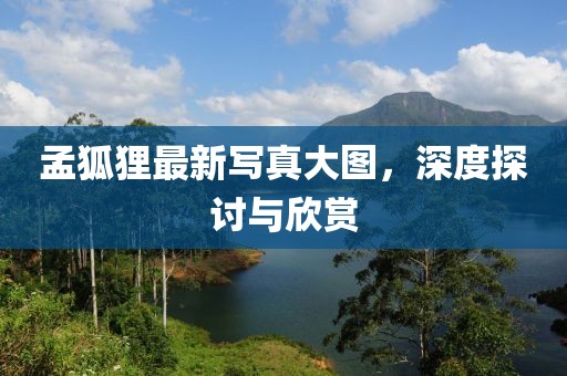 孟狐貍最新寫真大圖，深度探討與欣賞