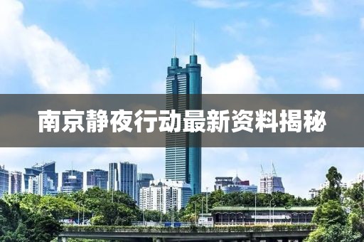 南京靜夜行動(dòng)最新資料揭秘