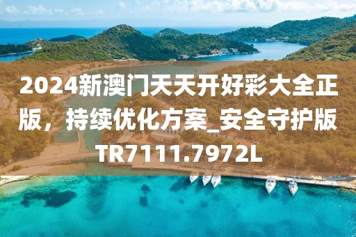 2024新澳門天天開好彩大全正版，持續(xù)優(yōu)化方案_安全守護版TR7111.7972L