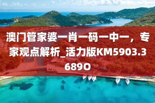 澳門管家婆一肖一碼一中一，專家觀點解析_活力版KM5903.3689O