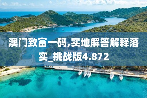 澳門致富一碼,實(shí)地解答解釋落實(shí)_挑戰(zhàn)版4.872