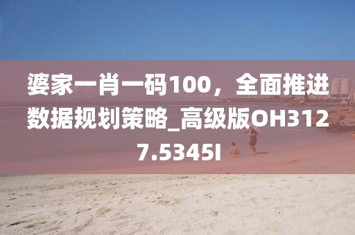 婆家一肖一碼100，全面推進(jìn)數(shù)據(jù)規(guī)劃策略_高級版OH3127.5345I