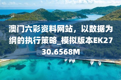 澳門六彩資料網(wǎng)站，以數(shù)據(jù)為綱的執(zhí)行策略_模擬版本EK2730.6568M