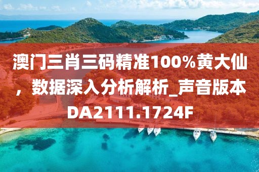 澳門三肖三碼精準100%黃大仙，數(shù)據(jù)深入分析解析_聲音版本DA2111.1724F