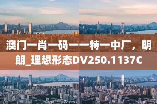 寧愿孤獨不要虛情 第13頁