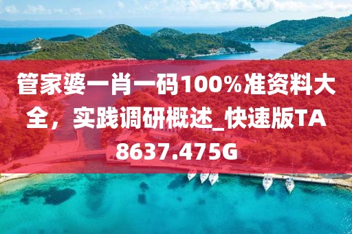 管家婆一肖一碼100%準資料大全，實踐調(diào)研概述_快速版TA8637.475G