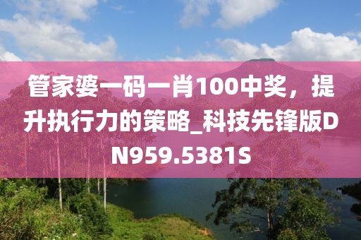 管家婆一碼一肖100中獎(jiǎng)，提升執(zhí)行力的策略_科技先鋒版DN959.5381S