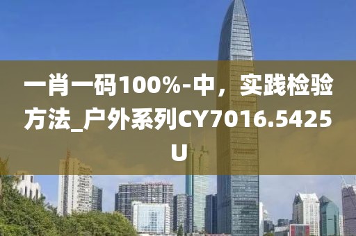 一肖一碼100%-中，實(shí)踐檢驗(yàn)方法_戶外系列CY7016.5425U