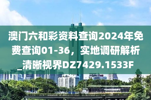 澳門六和彩資料查詢2024年免費(fèi)查詢01-36，實(shí)地調(diào)研解析_清晰視界DZ7429.1533F