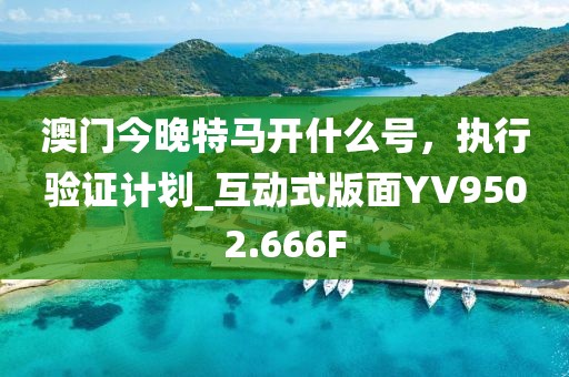 澳門今晚特馬開什么號，執(zhí)行驗證計劃_互動式版面YV9502.666F
