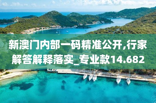 新澳門內(nèi)部一碼精準(zhǔn)公開,行家解答解釋落實(shí)_專業(yè)款14.682