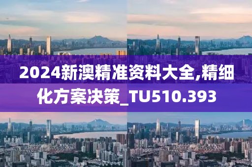 2024新澳精準資料大全,精細化方案決策_TU510.393