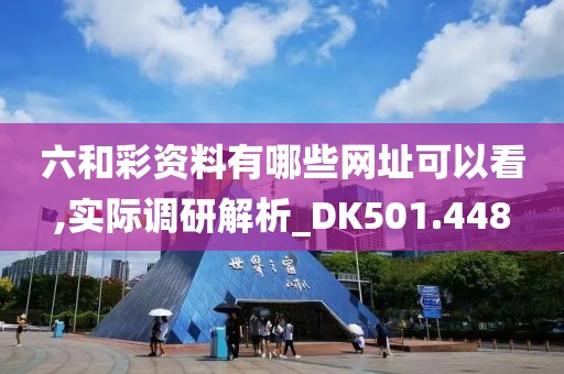 六和彩資料有哪些網(wǎng)址可以看,實(shí)際調(diào)研解析_DK501.448