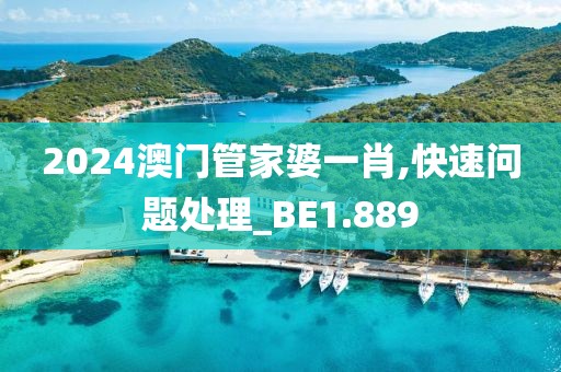 2024澳門(mén)管家婆一肖,快速問(wèn)題處理_BE1.889