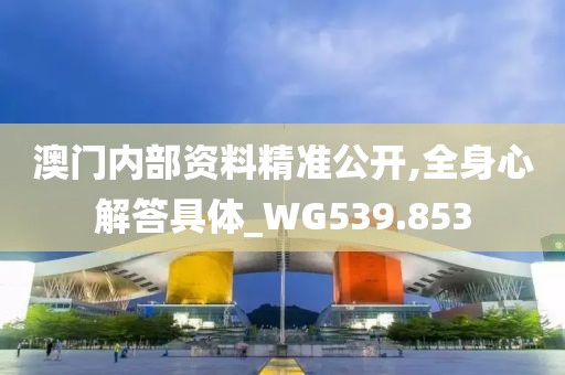 澳門內(nèi)部資料精準(zhǔn)公開,全身心解答具體_WG539.853
