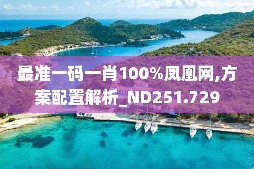 最準(zhǔn)一碼一肖100%鳳凰網(wǎng),方案配置解析_ND251.729