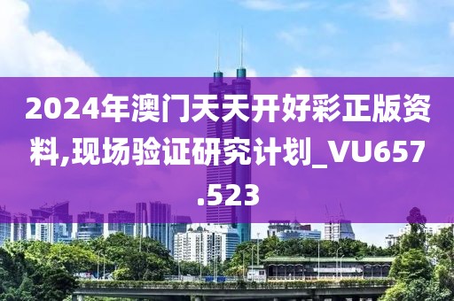 2024年澳門天天開好彩正版資料,現(xiàn)場驗證研究計劃_VU657.523