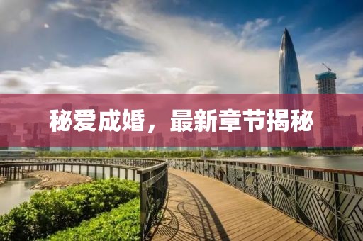 秘愛成婚，最新章節(jié)揭秘