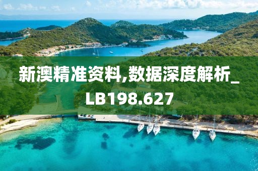 新澳精準(zhǔn)資料,數(shù)據(jù)深度解析_LB198.627