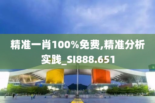 精準一肖100%免費,精準分析實踐_SI888.651