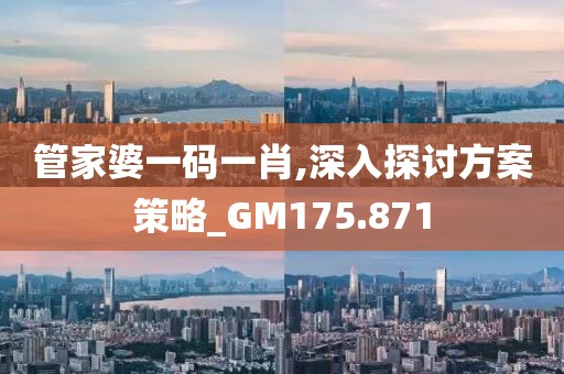 管家婆一碼一肖,深入探討方案策略_GM175.871