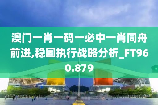 澳門一肖一碼一必中一肖同舟前進(jìn),穩(wěn)固執(zhí)行戰(zhàn)略分析_FT960.879