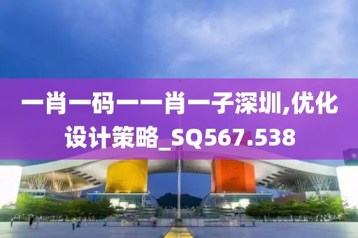 一肖一碼一一肖一子深圳,優(yōu)化設(shè)計(jì)策略_SQ567.538