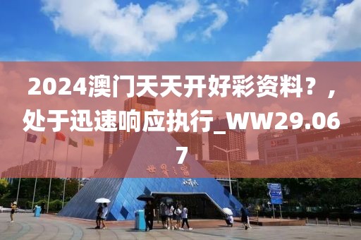 2024澳門天天開好彩資料？,處于迅速響應(yīng)執(zhí)行_WW29.067