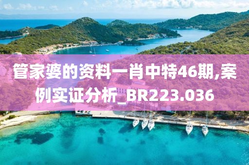 管家婆的資料一肖中特46期,案例實證分析_BR223.036