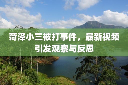 菏澤小三被打事件，最新視頻引發(fā)觀察與反思