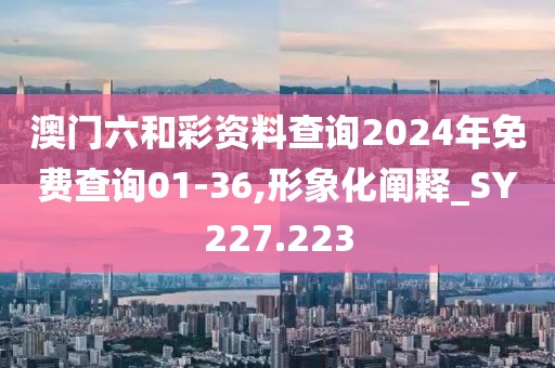 澳門六和彩資料查詢2024年免費查詢01-36,形象化闡釋_SY227.223