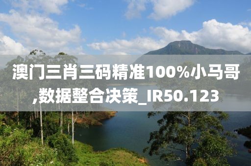 澳門三肖三碼精準(zhǔn)100%小馬哥,數(shù)據(jù)整合決策_(dá)IR50.123