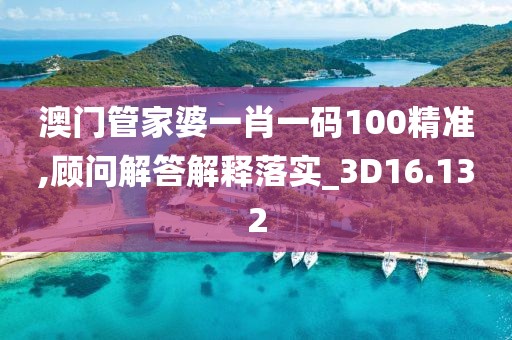 澳門管家婆一肖一碼100精準(zhǔn),顧問(wèn)解答解釋落實(shí)_3D16.132