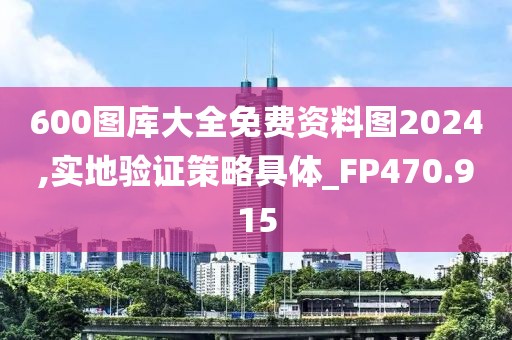 600圖庫(kù)大全免費(fèi)資料圖2024,實(shí)地驗(yàn)證策略具體_FP470.915