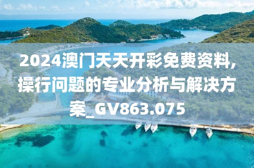 2024澳門天天開彩免費資料,操行問題的專業(yè)分析與解決方案_GV863.075
