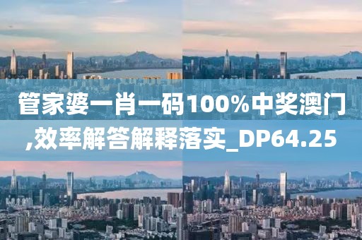 管家婆一肖一碼100%中獎(jiǎng)澳門,效率解答解釋落實(shí)_DP64.25