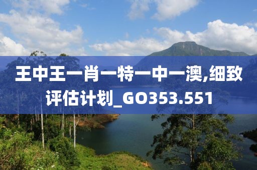 王中王一肖一特一中一澳,細致評估計劃_GO353.551