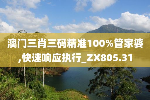澳門三肖三碼精準(zhǔn)100%管家婆,快速響應(yīng)執(zhí)行_ZX805.31