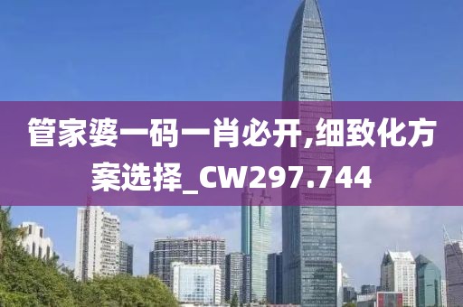 管家婆一碼一肖必開,細致化方案選擇_CW297.744