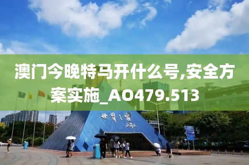 澳門今晚特馬開什么號,安全方案實施_AO479.513