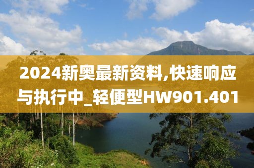 2024新奧最新資料,快速響應(yīng)與執(zhí)行中_輕便型HW901.401
