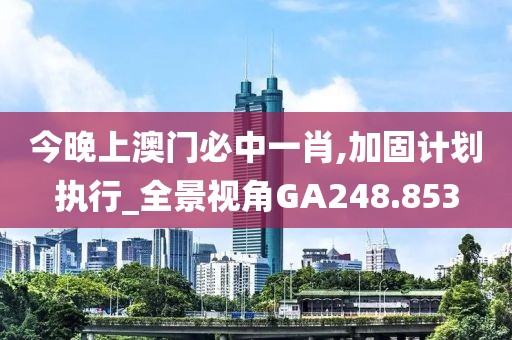 今晚上澳門必中一肖,加固計(jì)劃執(zhí)行_全景視角GA248.853