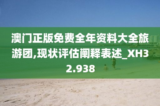 澳門正版免費全年資料大全旅游團,現(xiàn)狀評估闡釋表述_XH32.938