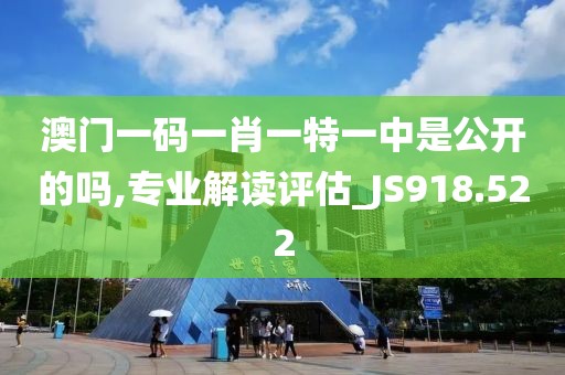 澳門一碼一肖一特一中是公開的嗎,專業(yè)解讀評(píng)估_JS918.522