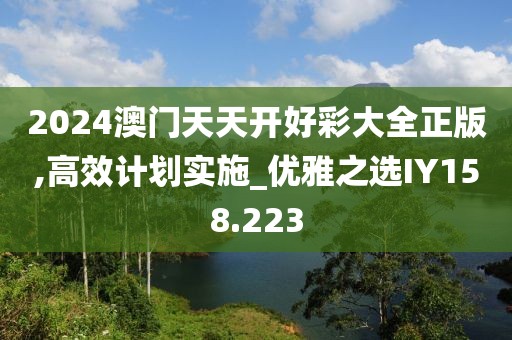 2024澳門天天開好彩大全正版,高效計劃實施_優(yōu)雅之選IY158.223