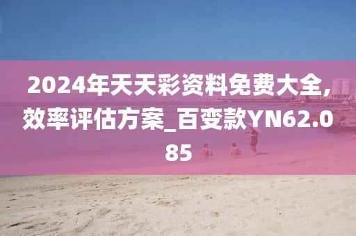 2024年天天彩資料免費大全,效率評估方案_百變款YN62.085